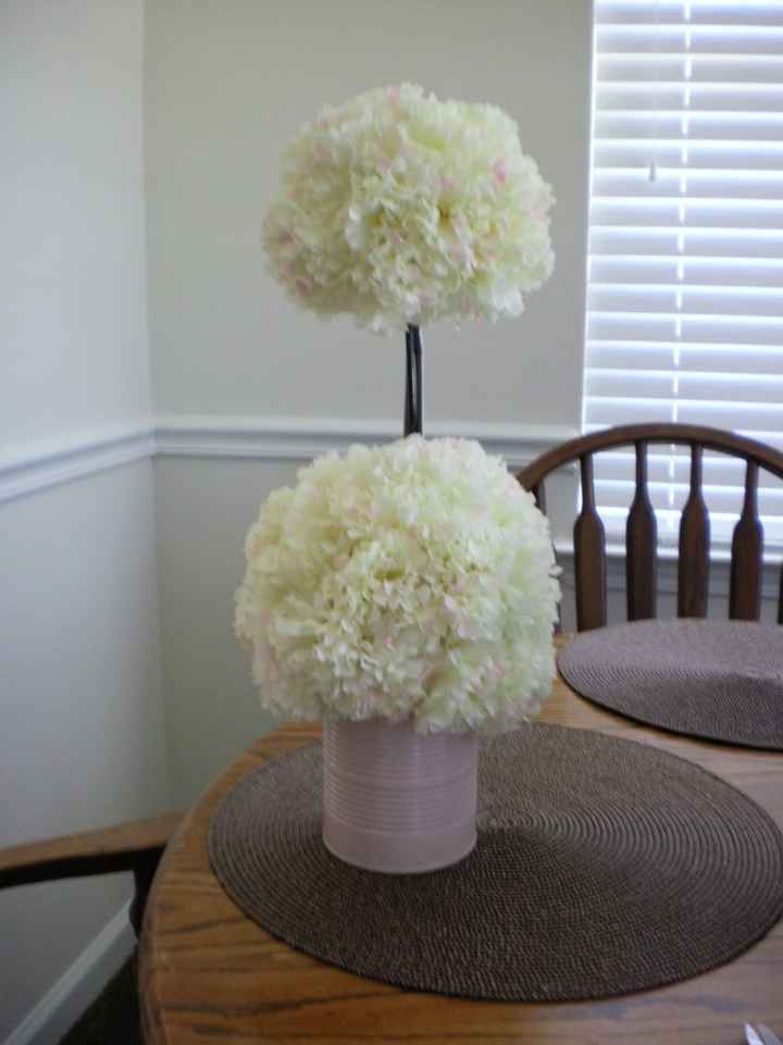 DIY Decor Trial *pic included*