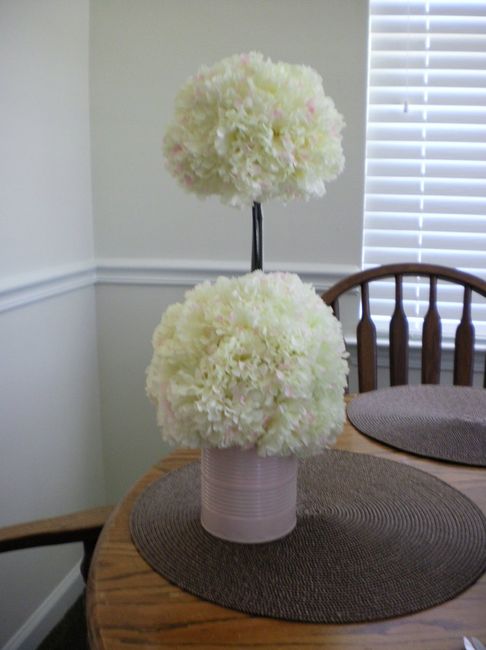DIY Decor Trial *pic included*