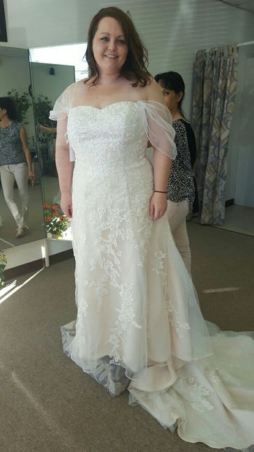 Adding sleeves to my dress HELP!:)
