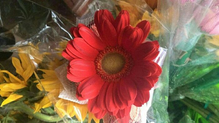 YEAH!!! Got my flowers today!