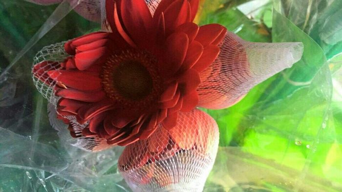 YEAH!!! Got my flowers today!
