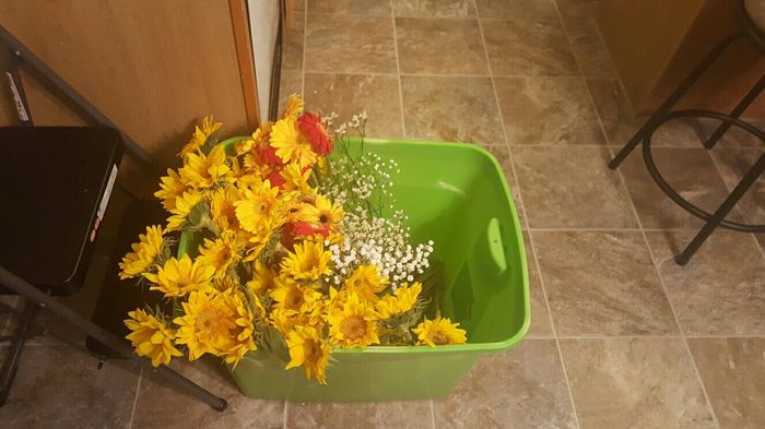 YEAH!!! Got my flowers today!