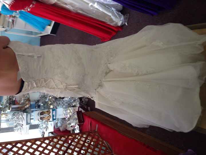 What do you think of this bustle??