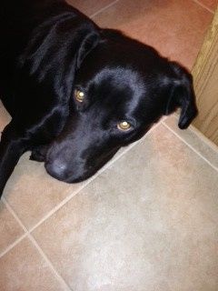 NWR: Fur Baby! :)