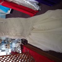 What do you think of this bustle??