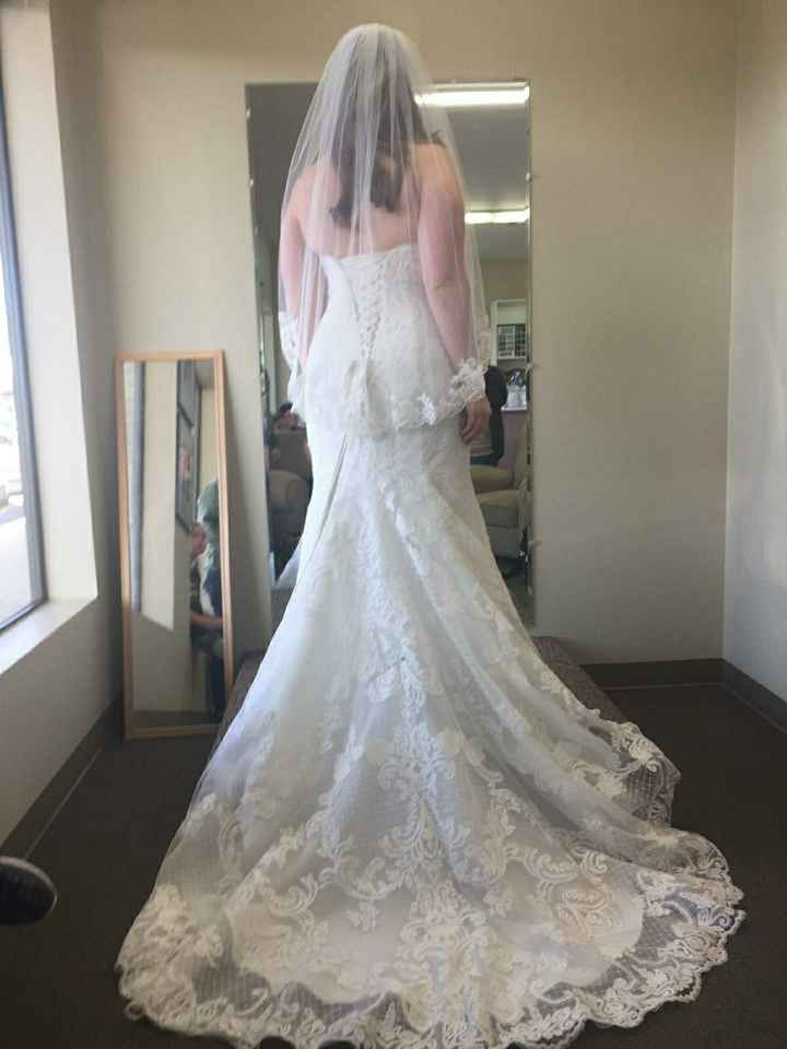 Final dress fitting - 3