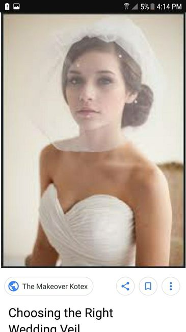  Veil help! Can't decide! - 2