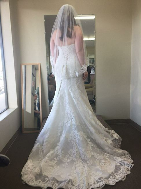 Final dress fitting - 3