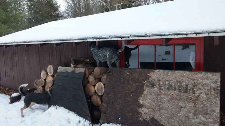 NWR:. Just wanted to share the Sunshine. Caution:Extreme cuteness enclosed.