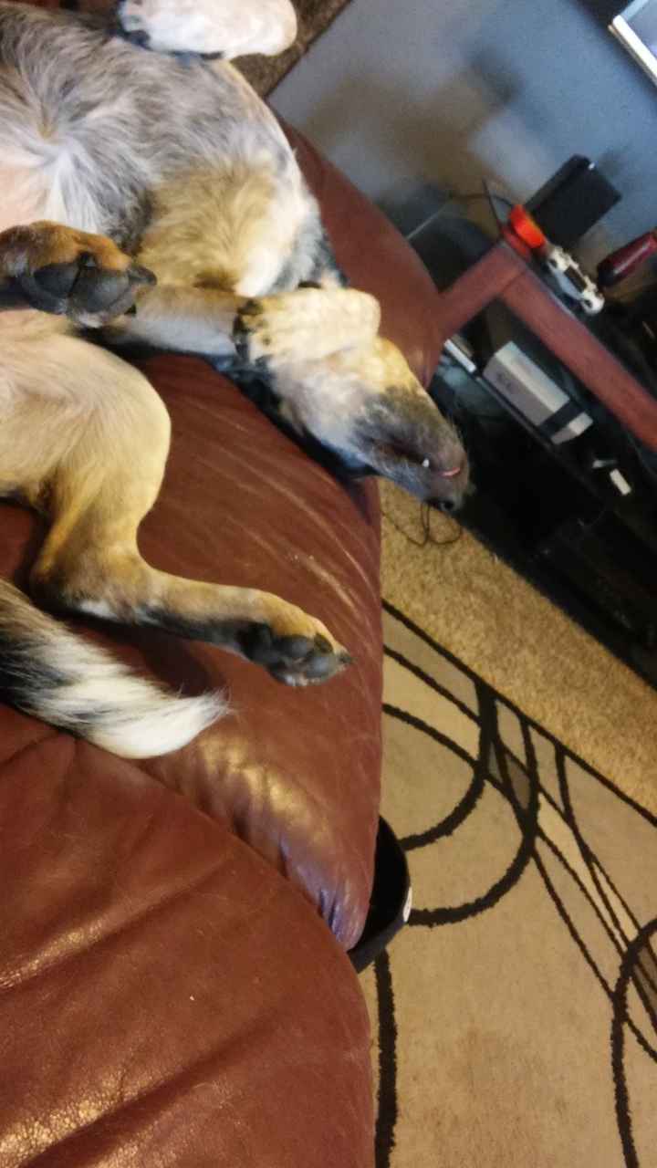 NWR:. Just wanted to share the Sunshine. Caution:Extreme cuteness enclosed.