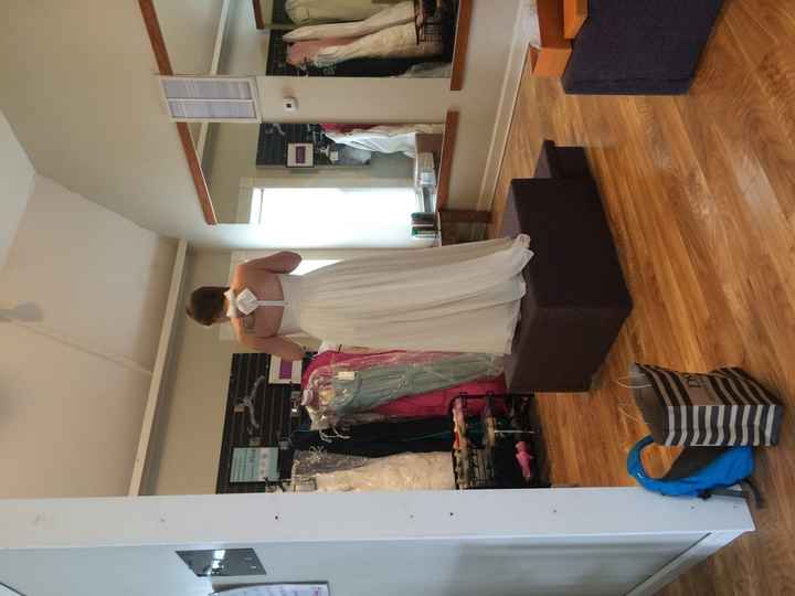 How many dresses before "the dress?"