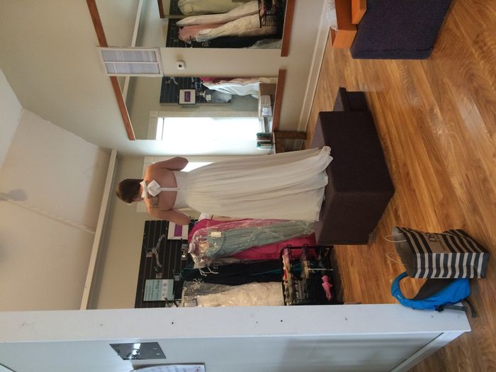 How many dresses before "the dress?"
