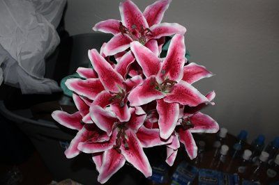 DIY  Flower hair clip... Pics