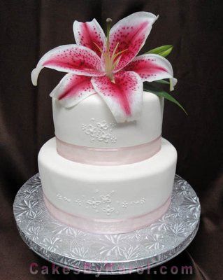The winning cake!