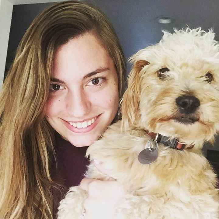 Reintroduction and Selfies