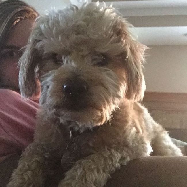 Spinoff: Show us your rescues!