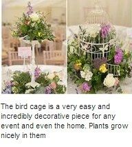 What to do with birdcages besides cards?