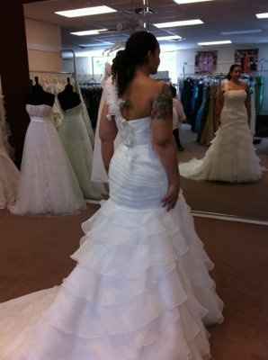 My Dress Came in a Few Weeks Ago!