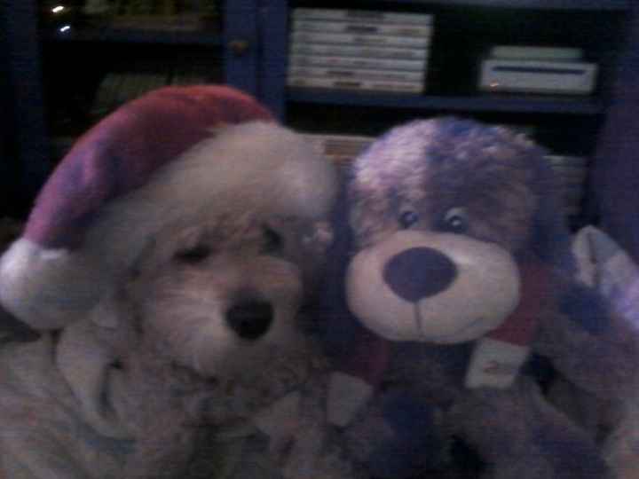 Lets see those puppies that we share with our FHs!