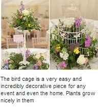 What to do with birdcages besides cards?