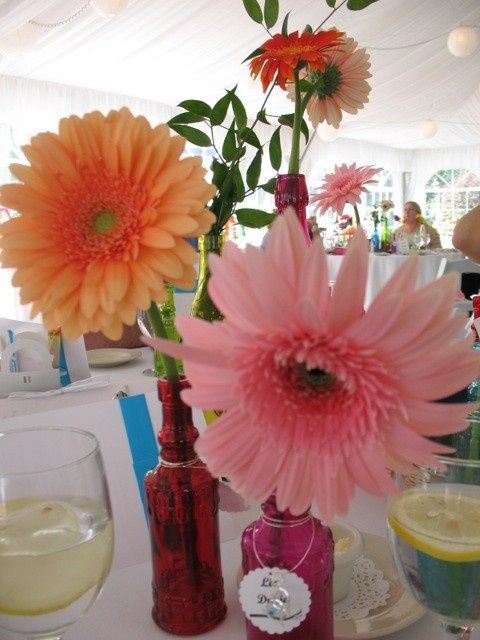 Gerberas