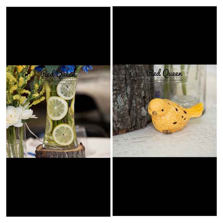 BAM! We're Mowery'd! **pro pic heavy**