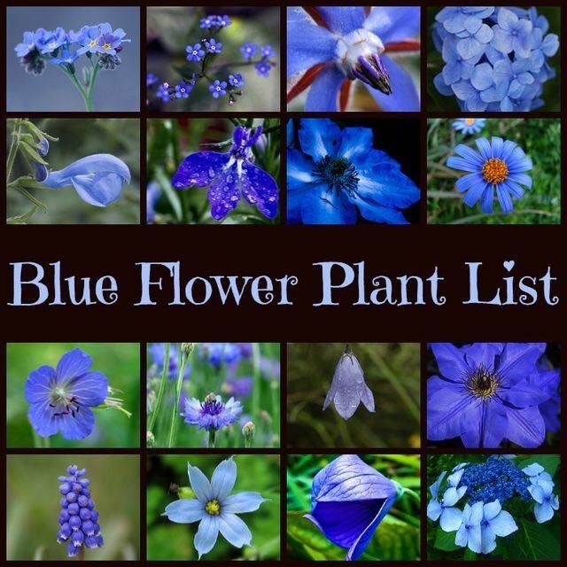 Where to get fake Flowers