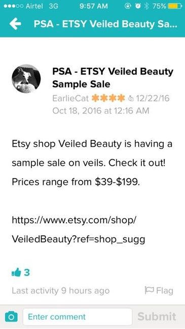 Veils