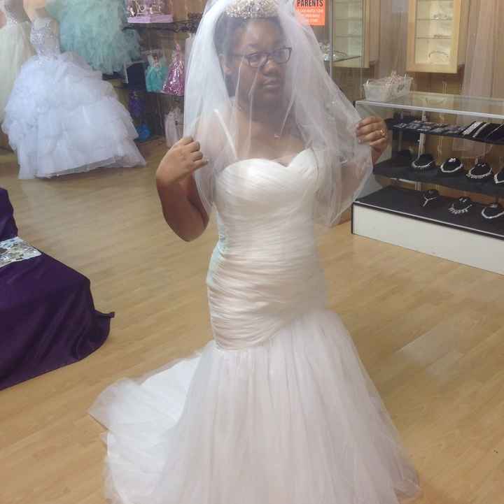 Best shapers to suck in a bloated gut