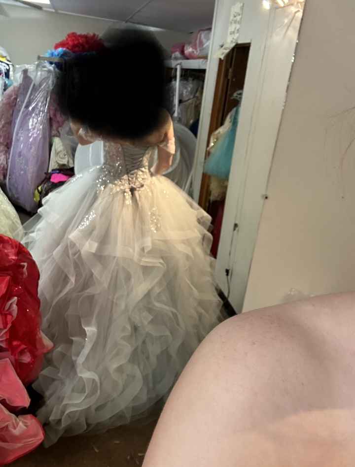 Wedding dress alterations-possible? - 1