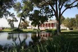 Tell me about your wedding!