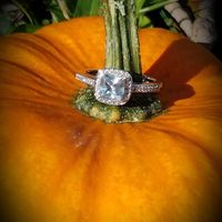 2023 Brides - Show us your ring! - 1