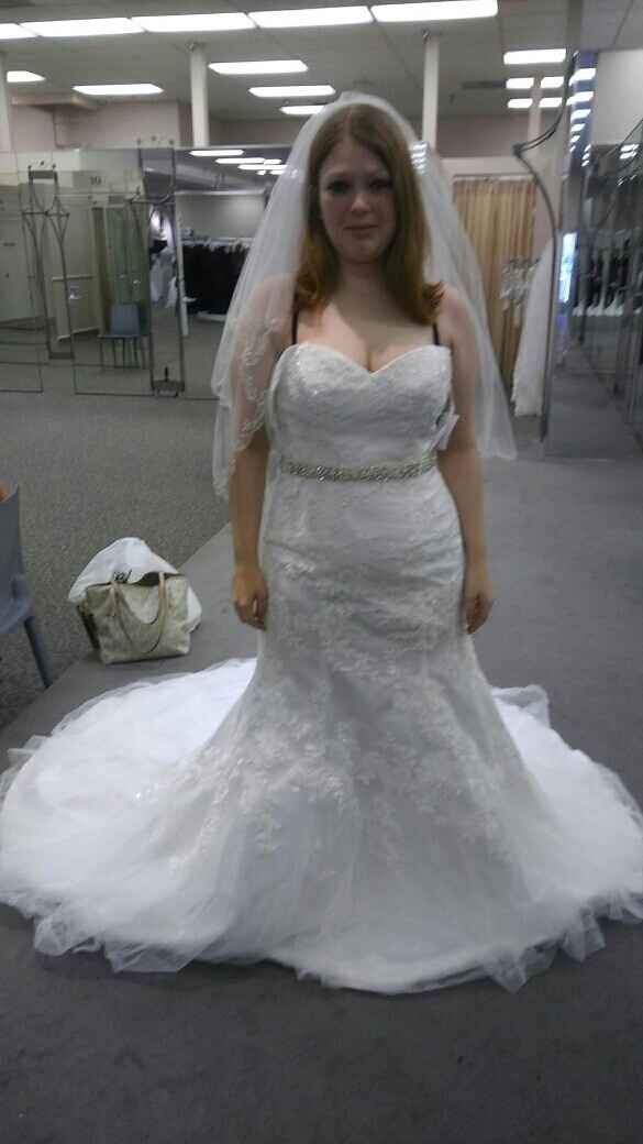 Saving up for the dress and dress ideas