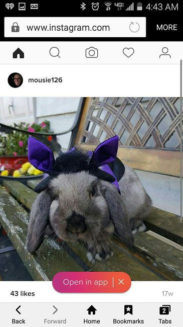 Let me see those fur babies!