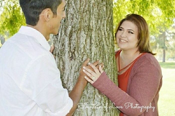 Picture Perfect