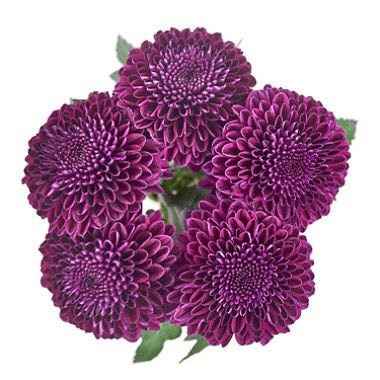 Centerpiece recipe- how many flowers??