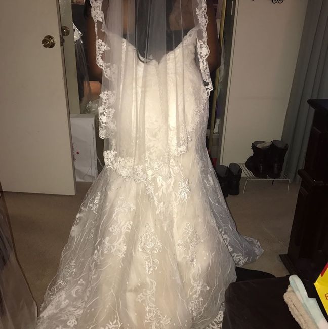 Show me your veils!
