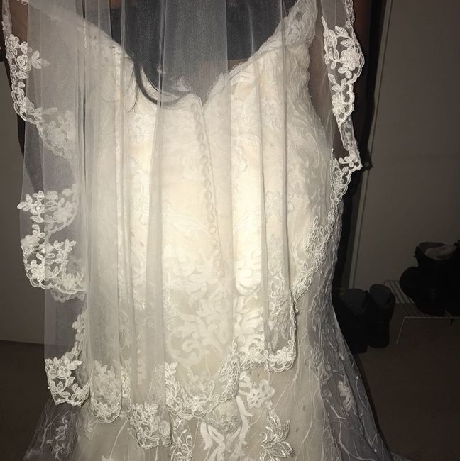 Veils