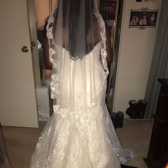 Veils