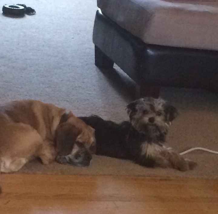 NWR: Mrs. A & J - This one's for you!!