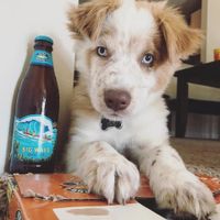 NWR: Shameless pet post!