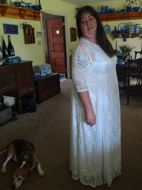 LOL...  my mom caught me looking at the dog..  