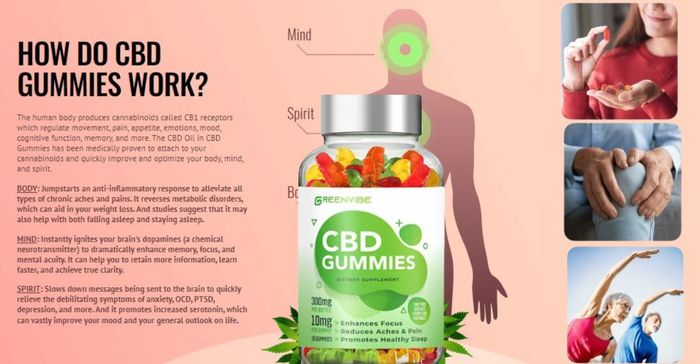 Green Vibe cbd Gummies – Beware! Is It Legit? First Know Cost, Side Effects, Ingredients, Customer R