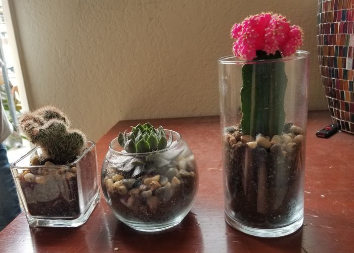 Who here is DIYing their centerpieces? - 2