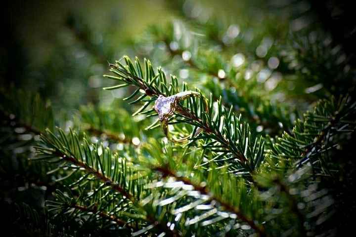 Who else has gemstones in their ring(s)?  Let's see them! - 2