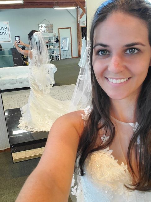 My dress is in!!! 2