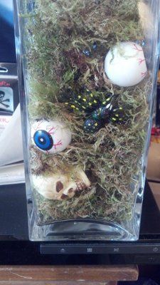 Centerpieces so far..... ***PICS***