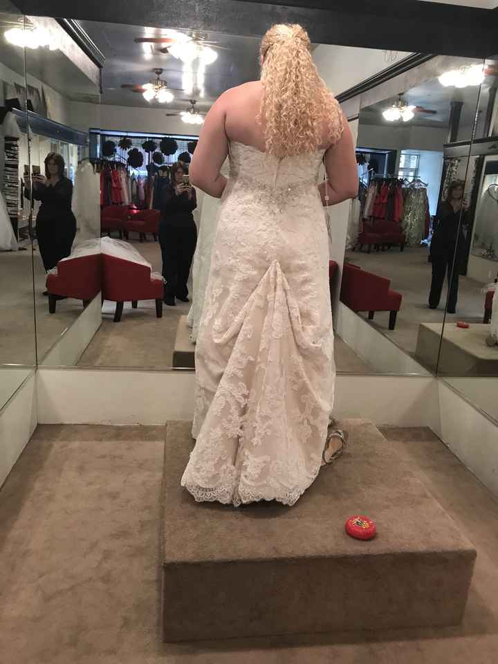 Bustle choices