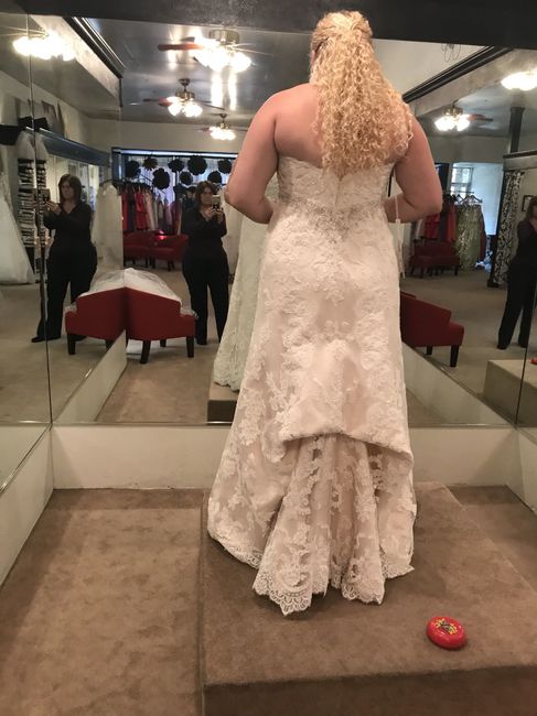 Bustle choices