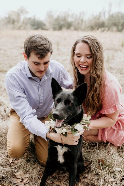 Engagement pics with our pup!!! - 3